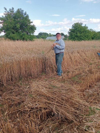 Zażynki w Rozięcinie 2025